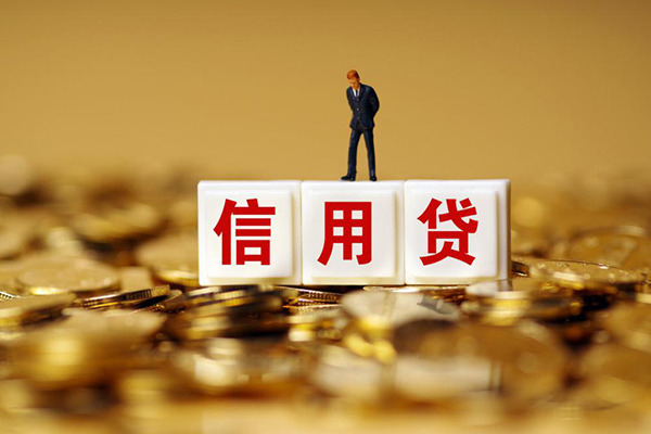 成都个人个人创业贷款-成都个人民间小额借贷-成都个人小额空放
